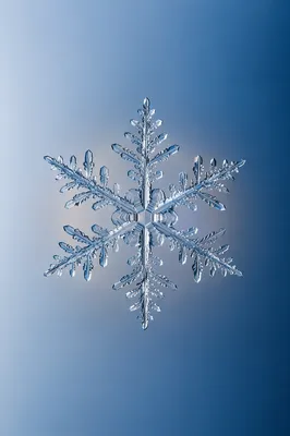 Delicate Snowflake on Smooth Blue Gradient
