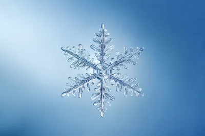 Delicate Snowflake on Smooth Blue Gradient