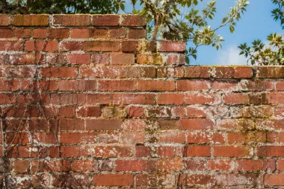 Weathered Red Brick Garden Wall Texture