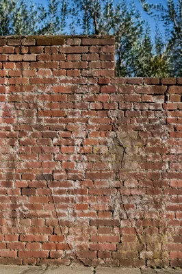 Aged Red Brick Garden Wall Texture