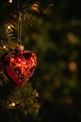Red Heart Ornament in Evergreen Branches