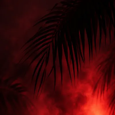 Dark Crimson Palm Frond Smoky Background