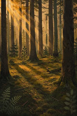 Dark Moody Forest Background for Psalm Text