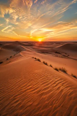 Golden Hour Desert Dunes Under Vast Sky