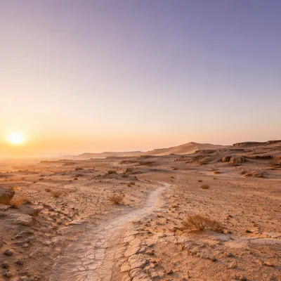 Desert Wilderness Dawn Spiritual Journey Background