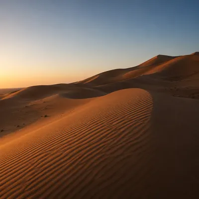 Golden Desert Wilderness Spiritual Journey Background