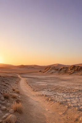 Desert Wilderness Dawn Spiritual Journey Background