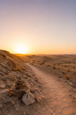 Desert Wilderness Path for Spiritual Journey