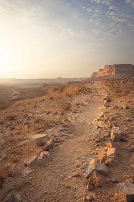 Desert Wilderness Dawn Spiritual Journey Background