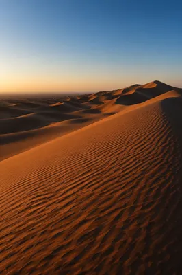 Golden Hour Desert Wilderness Background