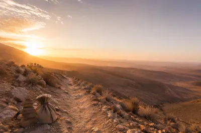 Desert Wilderness Path at Dawn