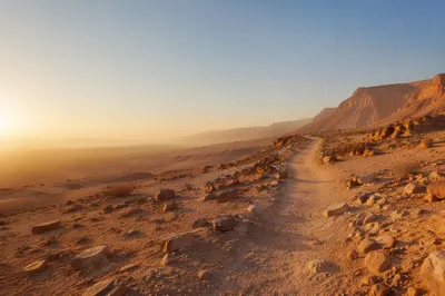 Desert Wilderness Path at Dawn Background