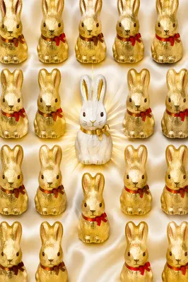White and Gold Easter Bunny Background
