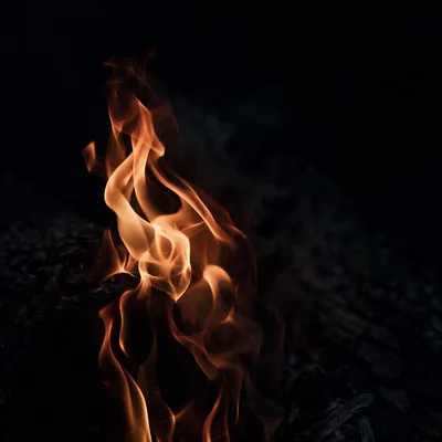 Amber Flames in Dark Shadow
