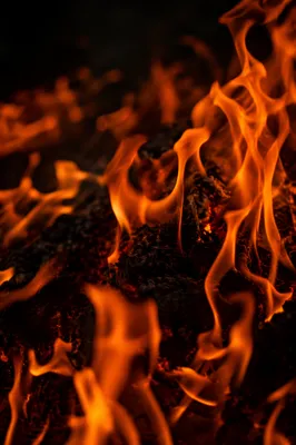 Dark Dramatic Flames Background Close-Up