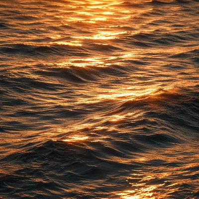 Golden Reflections on Flowing Water