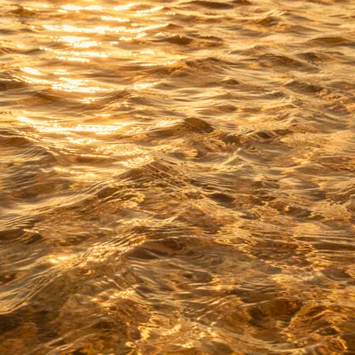 Golden River Ripples in Warm Light