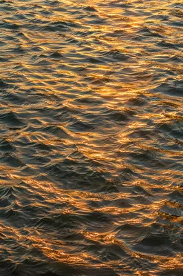Golden Reflections on Flowing Water Surface