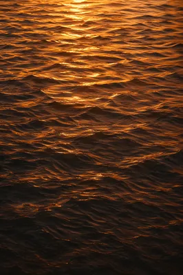 Golden Reflections on Flowing Water Surface