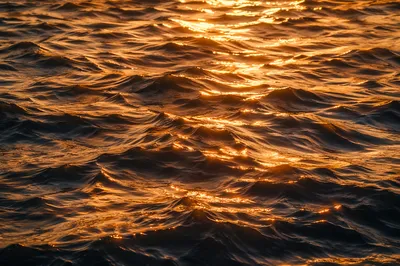 Golden Reflections on Flowing Water Surface