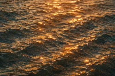 Golden Light Ripples on Flowing Water