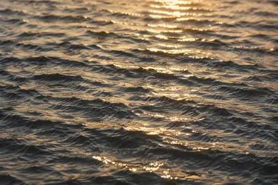 Golden Light on Flowing Water Surface