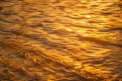 Golden River Ripples in Warm Light