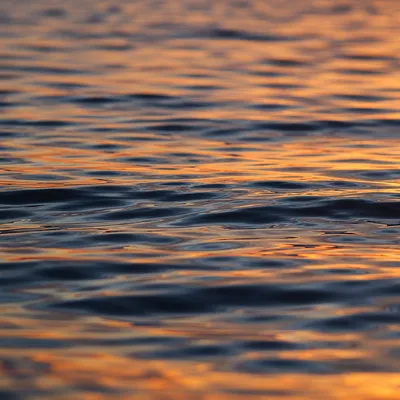 Golden Sunset Ripples on Flowing Water