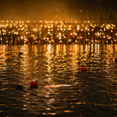 Golden Reflections on Flowing Night Water