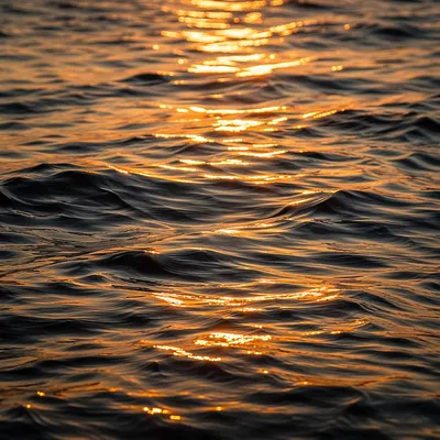 Golden Ripples on Flowing Water