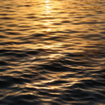 Golden Hour Ripples on Flowing Water