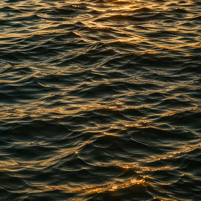 Golden Reflections on Flowing Water