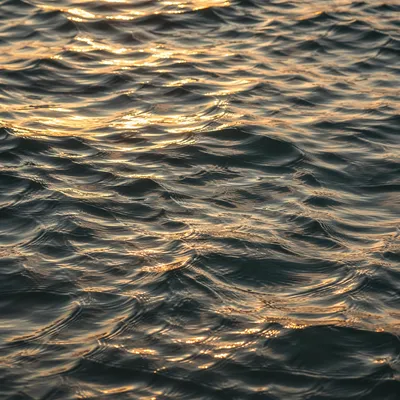 Golden Light on Flowing Water Ripples