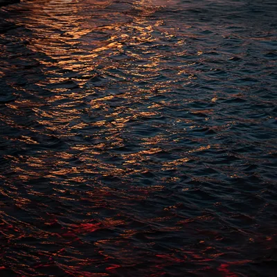 Golden Reflections on Dark Flowing Water
