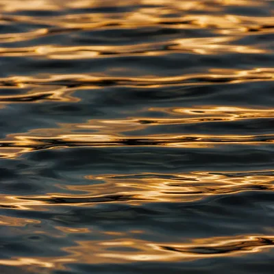 Golden Hour Ripples on Dark Water