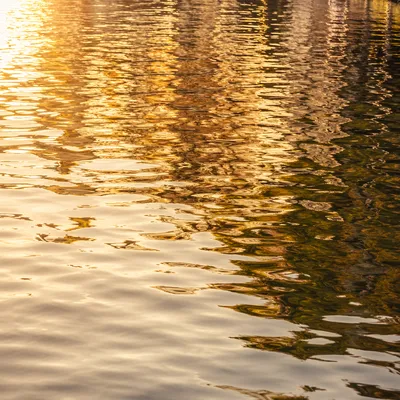 Golden Water Reflections Abstract Background