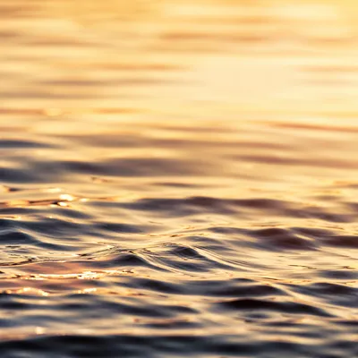 Golden Hour Flowing Water Reflection Background