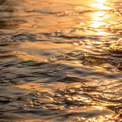 Golden Dawn Reflections on Flowing River