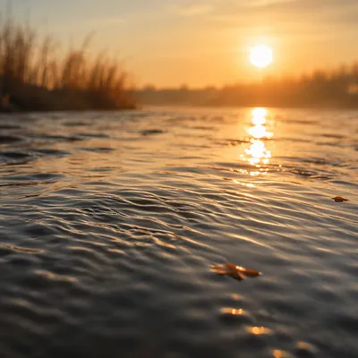 Golden Sunrise River Water Background