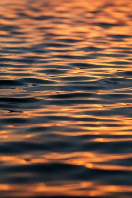Golden Sunset Ripples on Flowing Water