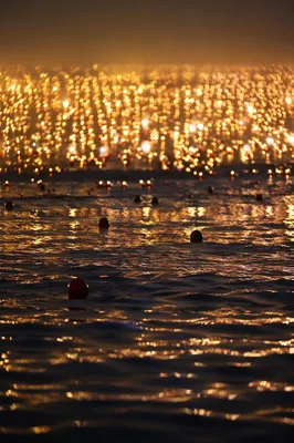 Golden Reflections on Flowing Night Water