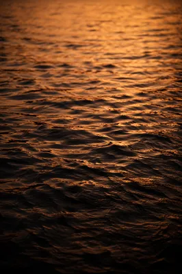 Golden Dusk Water Ripple Background
