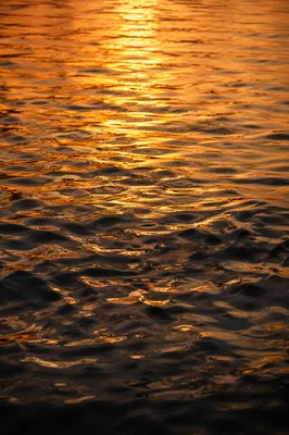 Golden Hour Ripples on Flowing Water
