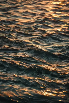 Golden Ripples on Flowing Water