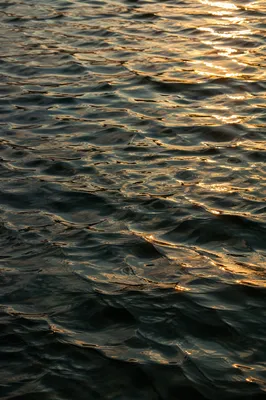 Golden Reflections on Flowing Water