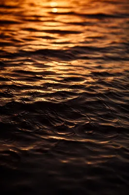 Golden Reflections on Flowing Water