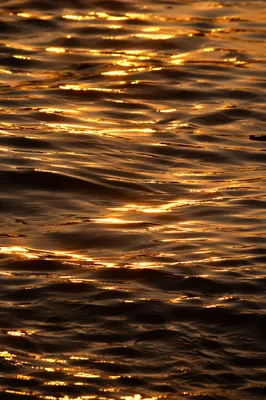Golden Hour Flowing Water Reflections