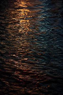Golden Reflections on Flowing Dark Water