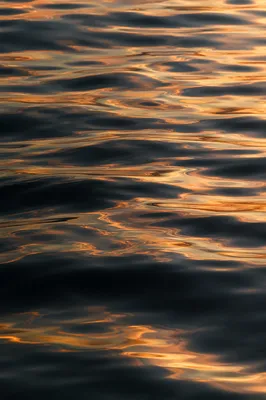 Golden Reflections on Flowing Water