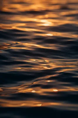 Golden Reflections on Flowing Water